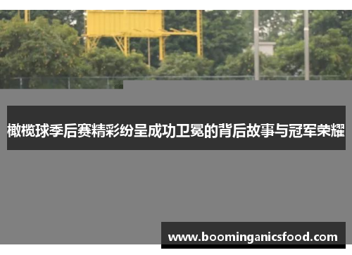 橄榄球季后赛精彩纷呈成功卫冕的背后故事与冠军荣耀