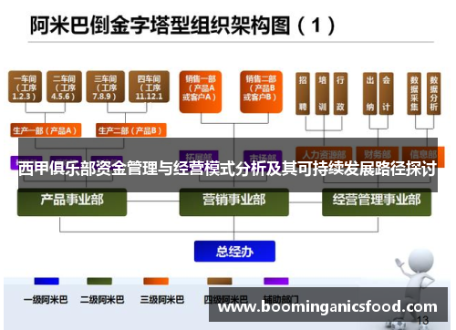 西甲俱乐部资金管理与经营模式分析及其可持续发展路径探讨