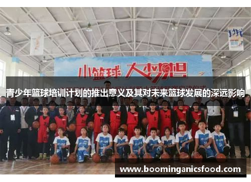 青少年篮球培训计划的推出意义及其对未来篮球发展的深远影响