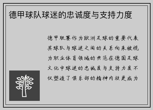 德甲球队球迷的忠诚度与支持力度