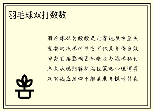 羽毛球双打数数