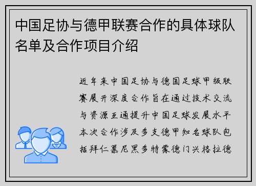 中国足协与德甲联赛合作的具体球队名单及合作项目介绍